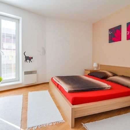 Apartman U Kostela Destne v Orlickych horach Exterior foto