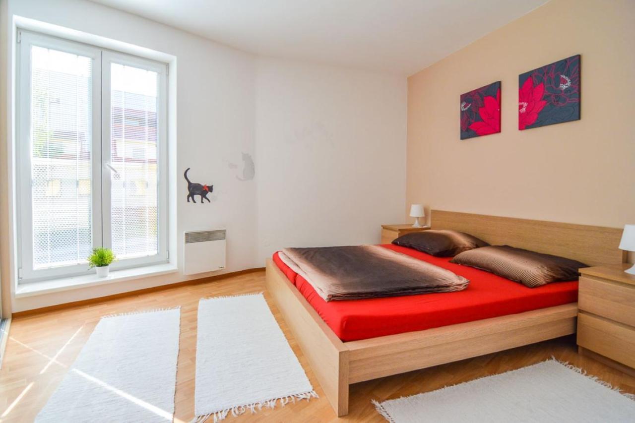 Apartman U Kostela Destne v Orlickych horach Exterior foto